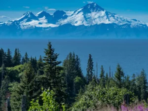 Anchor Point Alaska