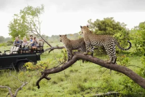 Best Places to Visit in Africa with Family