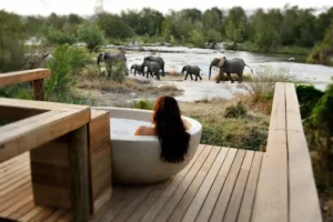 Best Game lodges in South Africa