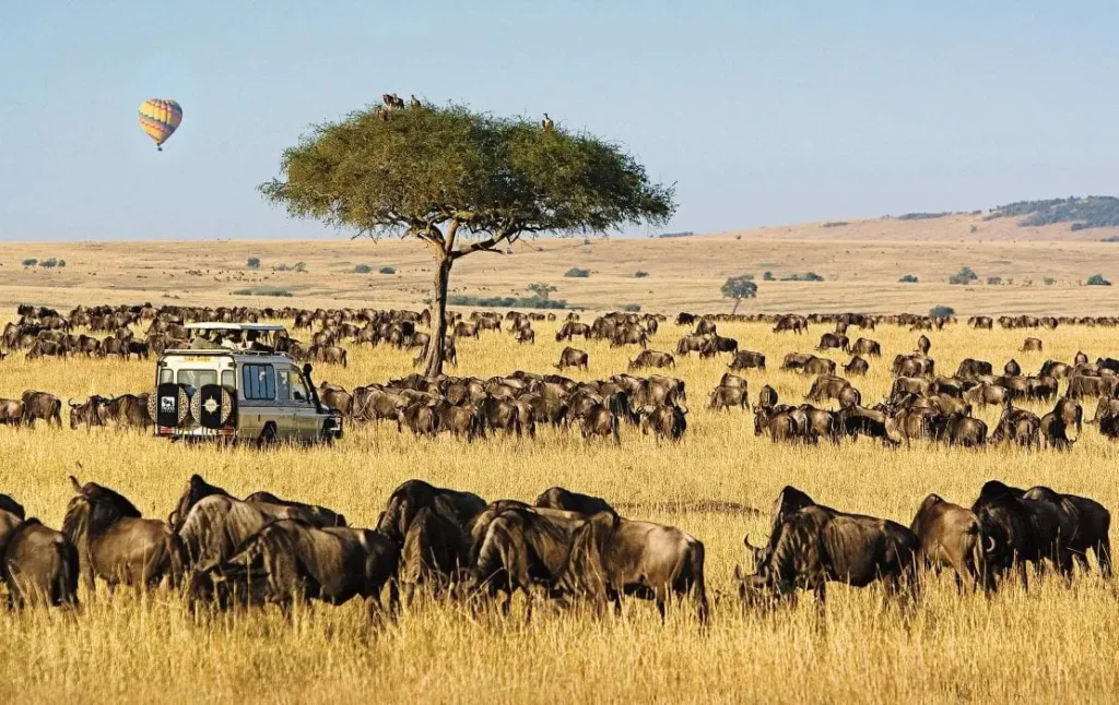 Best Places to Visit in Africa with Family