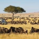 Best Places to Visit in Africa with Family