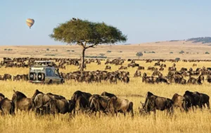 Best Places to Visit in Africa with Family