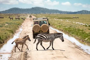 Best Places to Visit in Africa with Family