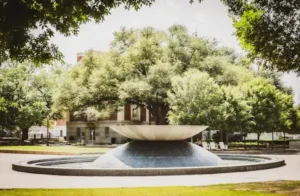 Universities for Psychology Majors in Escondido Gurupengajar