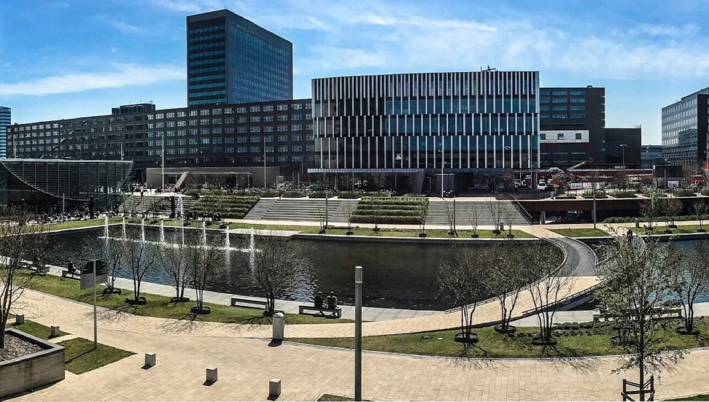 Business Universities in the Netherlands for International Students