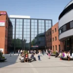 Accredited Nursing Programs in English in Netherlands
