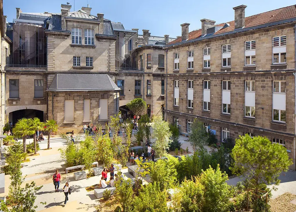 Best Nursing Schools for International Students in France