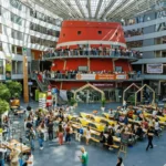 Best Nursing Schools in the Netherlands for International Students