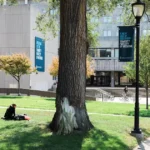 List of Medical Schools in Canada