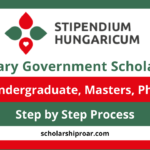 Hungarian Government Scholarships for International Students