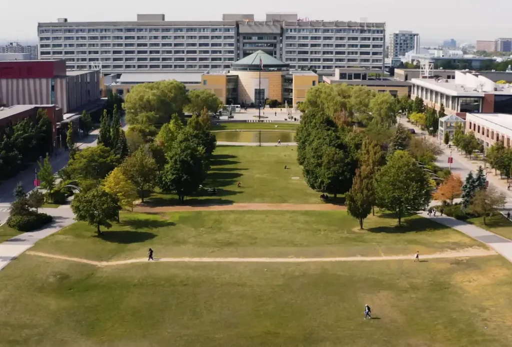 York University Scholarships and Awards for International Students